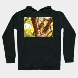 Green Monkey Hoodie